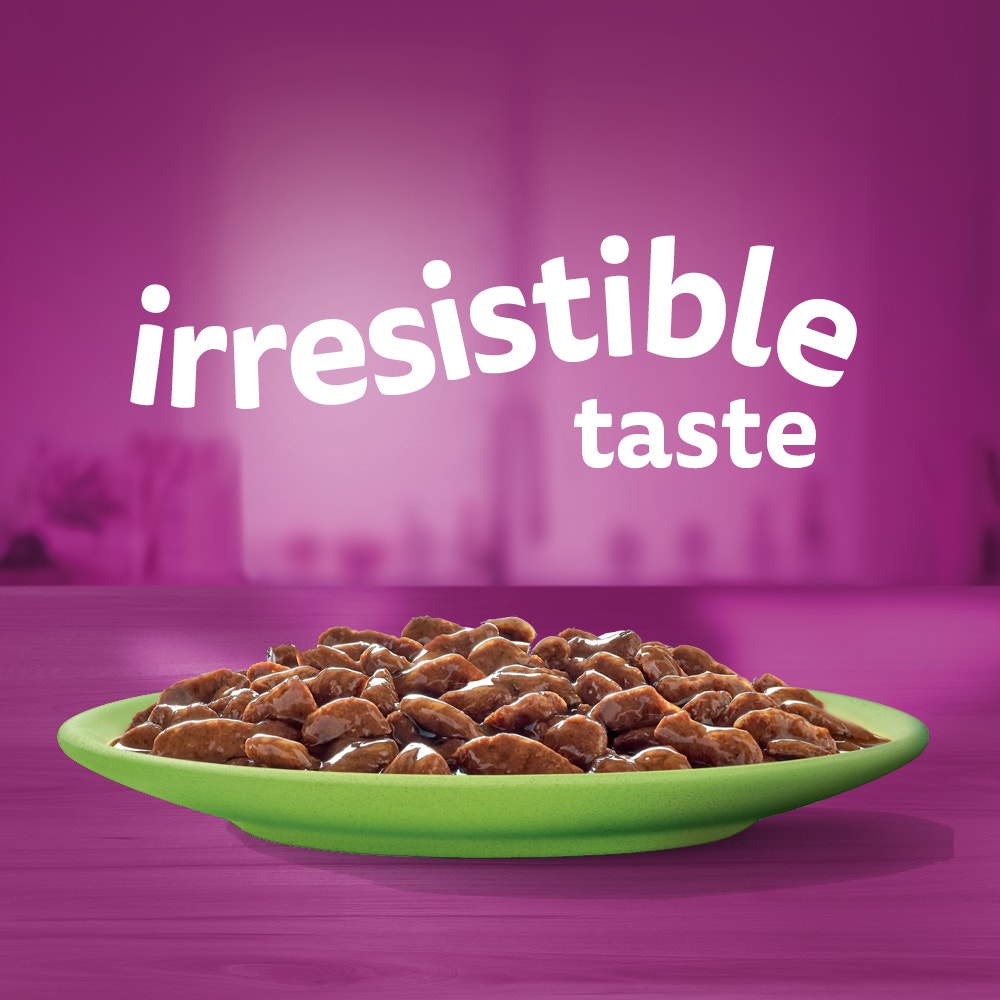 WHISKAS® 1+ Years Adult Wet Cat Food with Mixed Favourites In Gravy 12x85g Pouch - 2