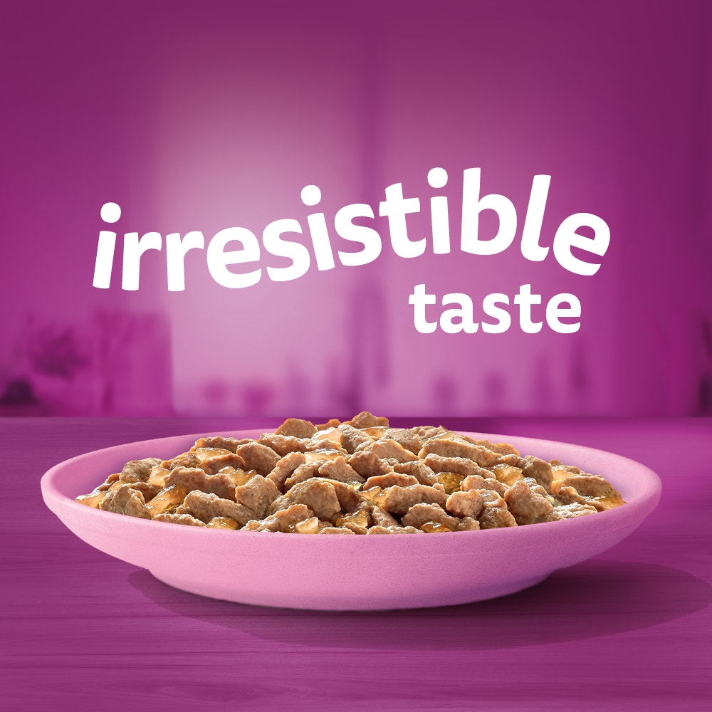 WHISKAS® 2-12 Months Kitten Wet Cat Food with Mixed Favourites In Jelly 12x85g Pouch - 2