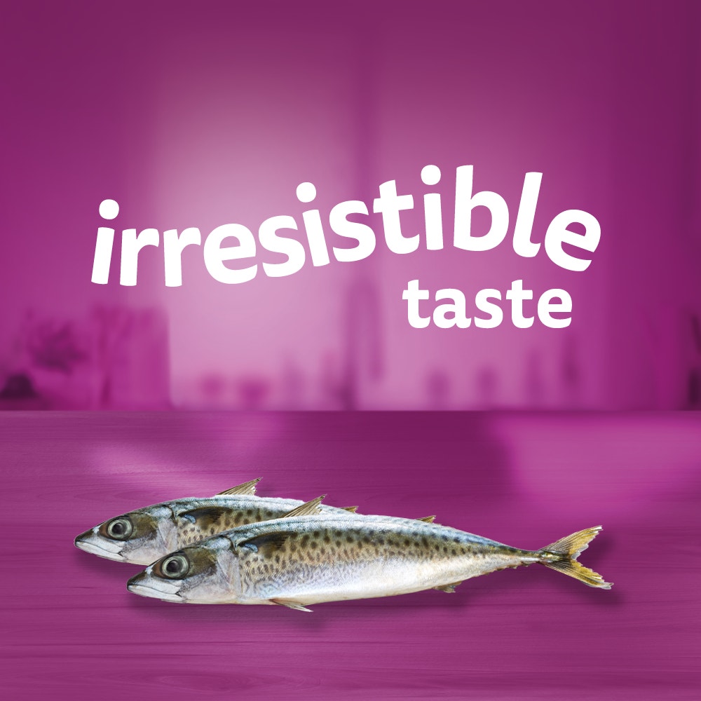 WHISKAS® 1+ Years Adult So Fishy Wet Cat Food with Seafood Servings in Jelly 12x85g Pouch - 4