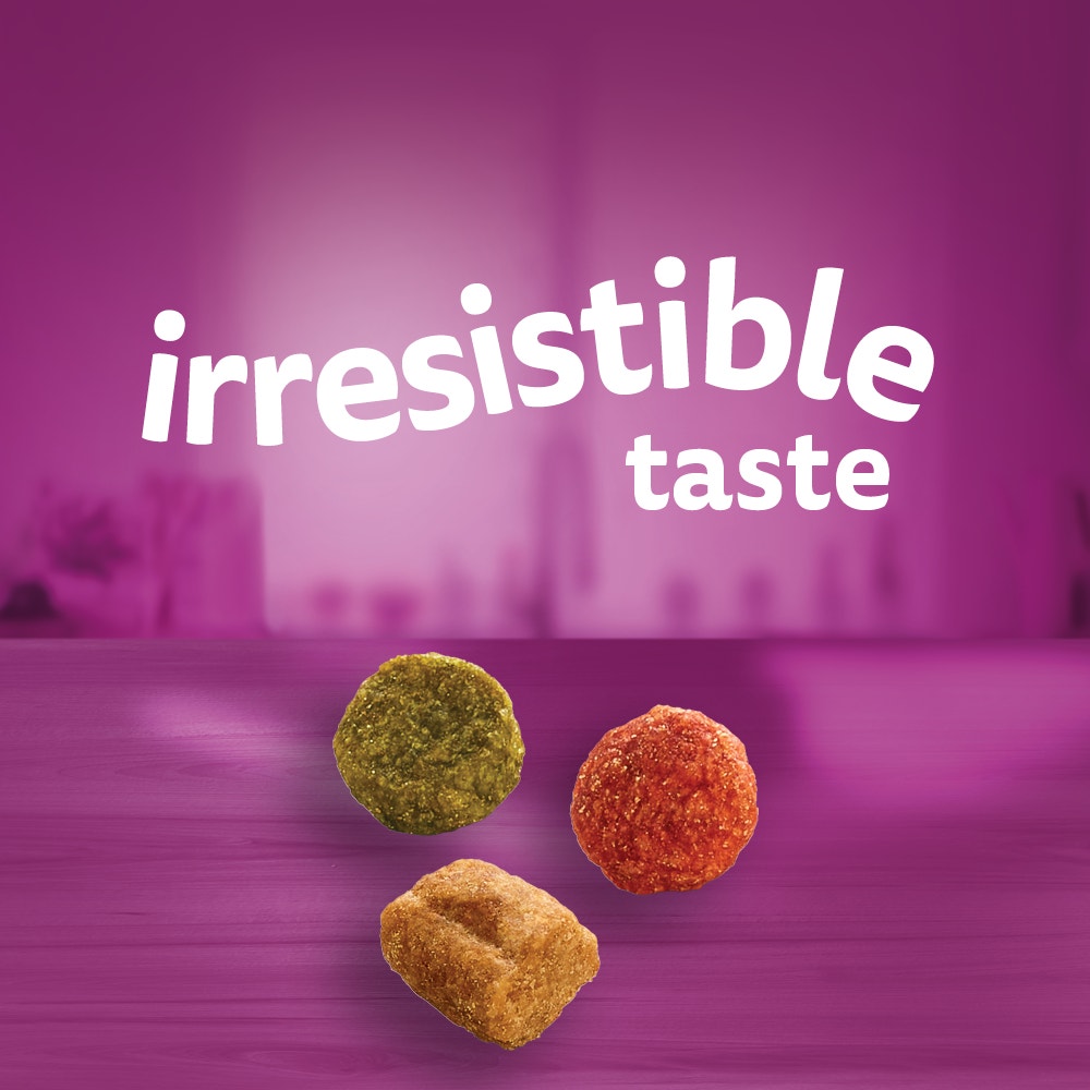 WHISKAS® 1+ Years Adult Dry Cat Food with Tuna Flavour - 4